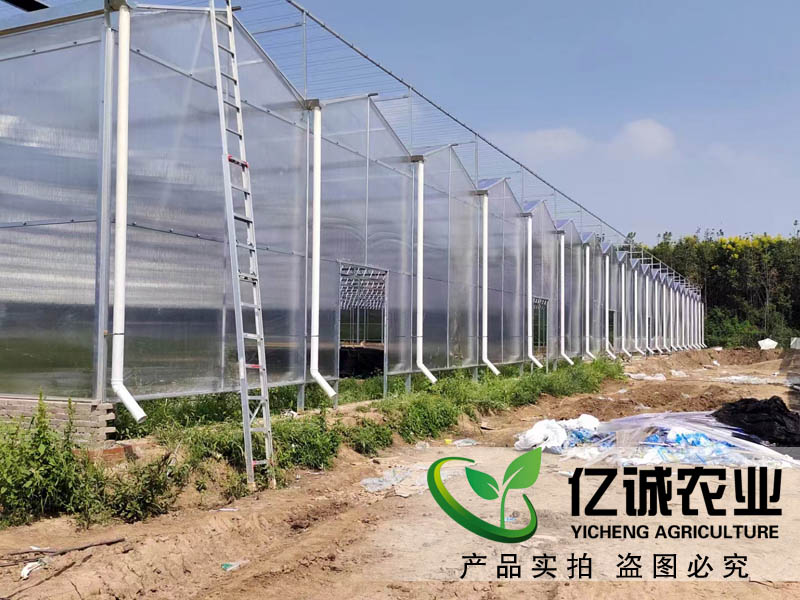 陜西花卉市場一期20000平方紋絡(luò)陽光板溫室順利完工